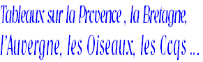Tableaux sur la Provence , la Bretagne,
l’Auvergne, les Oiseaux, les Coqs ...